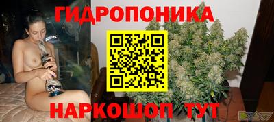 трава Гусь-Хрустальный