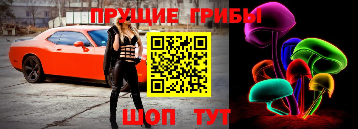 Чебаркуль  Псилоцибиновые грибы Psilocybine cubensis  Вход с VPN 